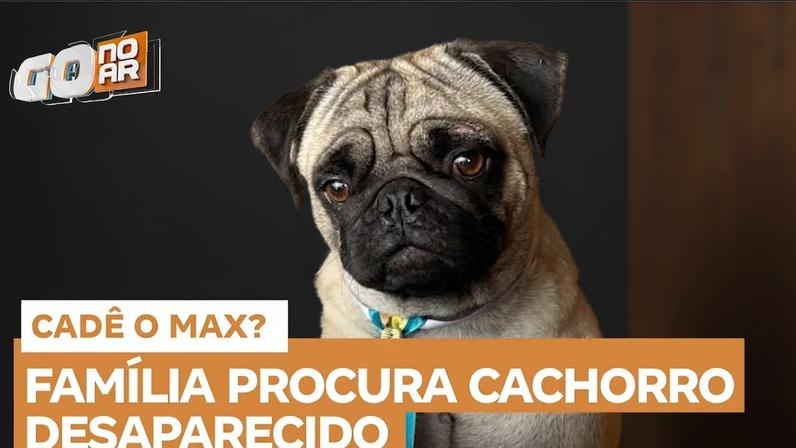 Família procura cachorro desaparecido em bairro da cidade