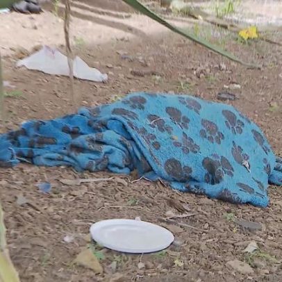 Guarda Municipal mata pitbull após suposto ataque na Lagoinha, BH