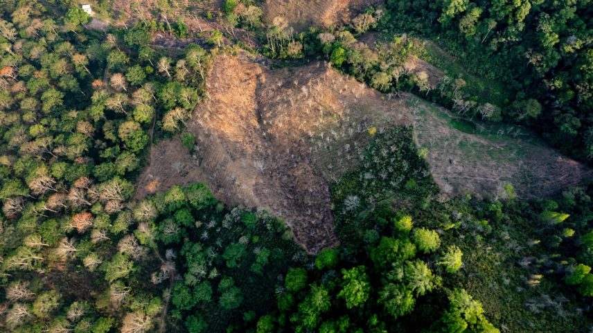 Empresas como JDE Peet’s, Louis Dreyfus, Sucafina e Neumann Kaffee Gruppe estão trabalhando para criar o novo mapa (Foto:Tomas Ayuso/Bloomberg)
