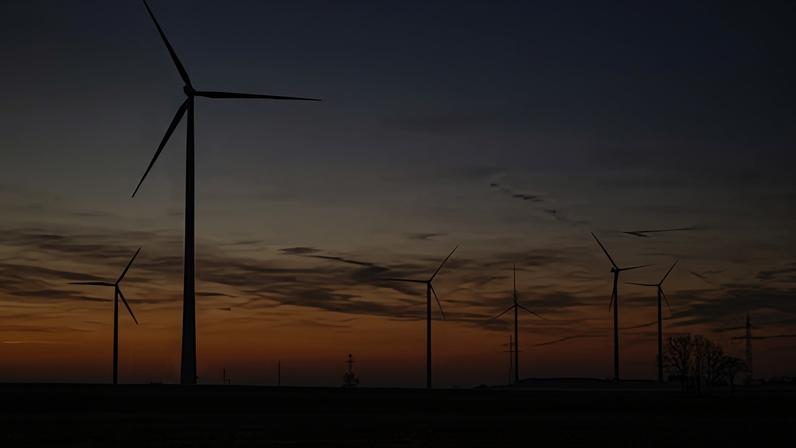 Eólicas testam tecnologias para reduzir mortalidade de aves e morcegos