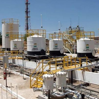 Economista defende indústria brasileira de biodiesel por empregos e meio ambiente