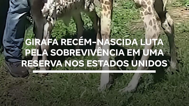 Reprodução canal do Youtube Record News