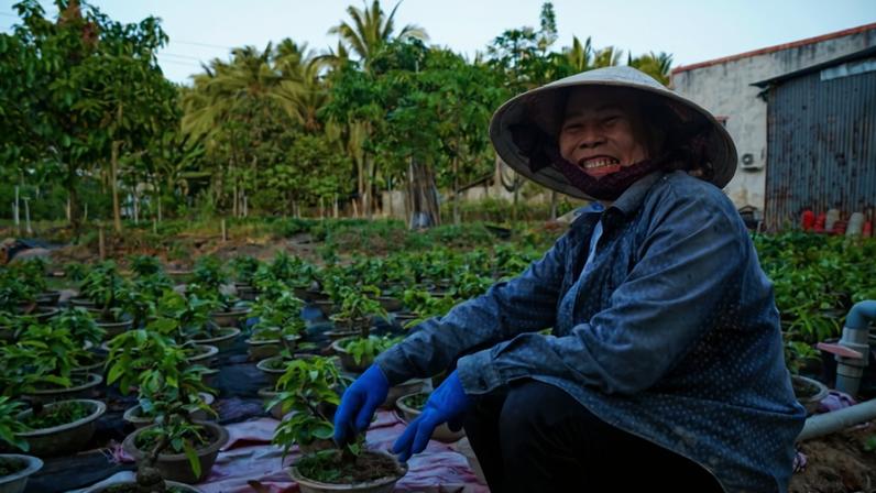 Intrusão salina no Mekong Delta divide agricultores e cientistas