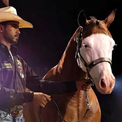 Mercado de cavalos de elite cresce em Goiás e fatura milhões no Brasil
