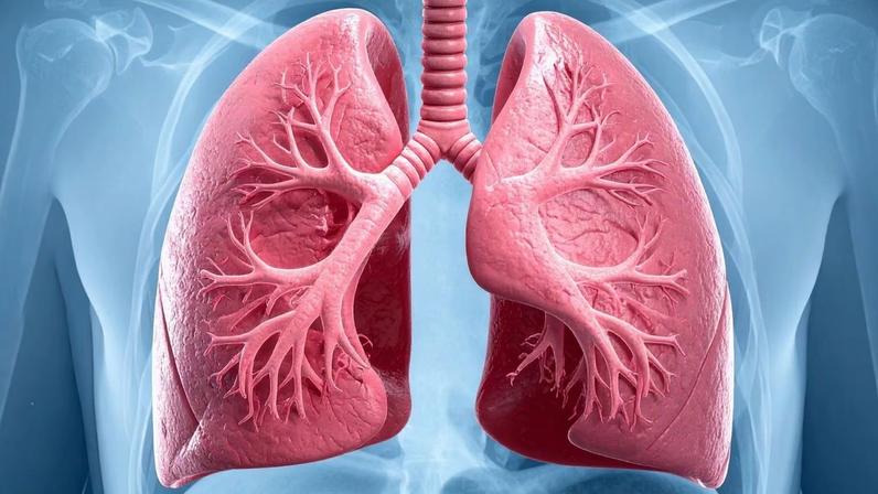 Níveis baixos dessa vitamina podem prejudicar os pulmões