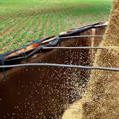 Mosaic paralisa fábricas de fertilizantes no Brasil após alta do enxofre