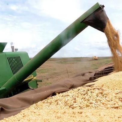 Agricultura e pecuária lideram pedidos de recuperação judicial em 2025
