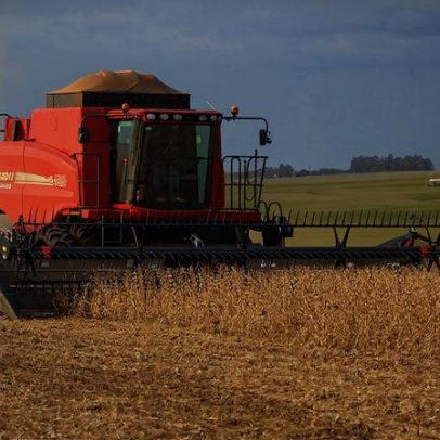 Produção de cereais, leguminosas e oleaginosas em março de 2026 atinge recorde