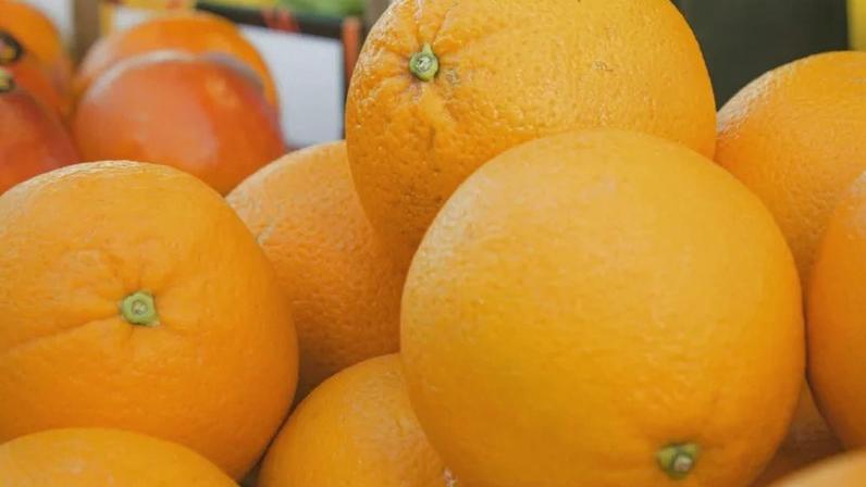 A pesquisa para apuração dos custos de produção do café arábica ocorreu em 10 municípios