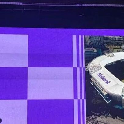 Arena do Palmeiras terá novo nome definido por votação com opções