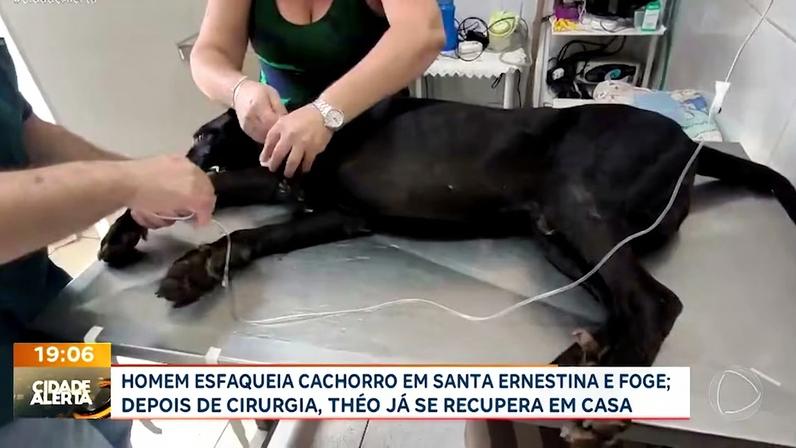 Reprodução canal do Youtube Record Interior SP