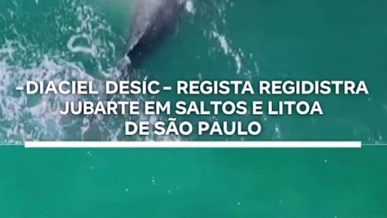 Reprodução canal do Youtube Record News