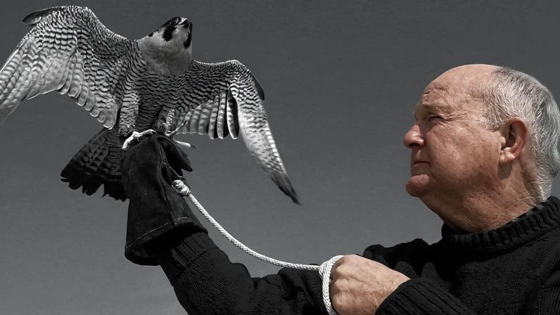 Mitchell Byrd, ornitólogo, ajuda recuperação de águias-carecas no Chesapeake