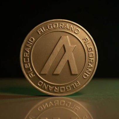 Algorand sobe 17% após elogio do Google à sua segurança pós-quântica