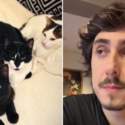 Felipe Castanhari alerta após perder gato envenenado por dedetização