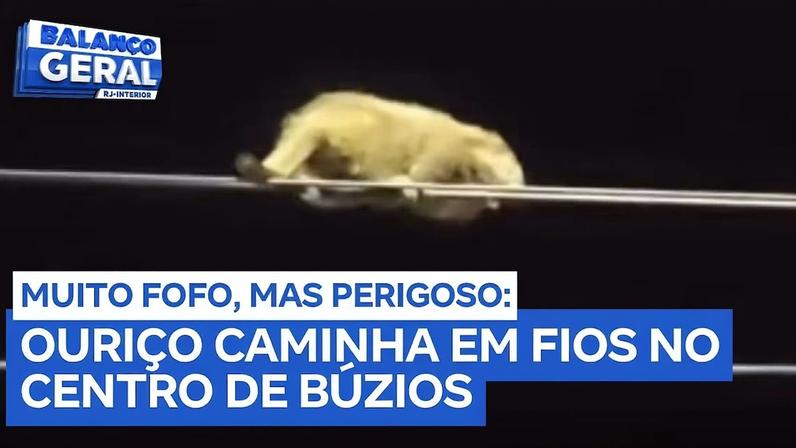 Reprodução canal do Youtube Record Interior RJ