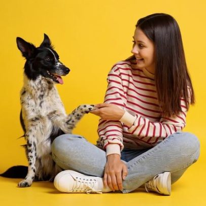 Cinco técnicas para ensinar comandos básicos ao seu cachorro