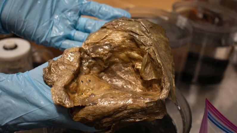 Uma imagem aproximada da "esfera dourada" no laboratório da Instituição Smithsonian.