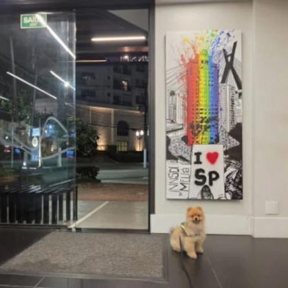 Hotéis de luxo em São Paulo permitem hospedagem com cães
