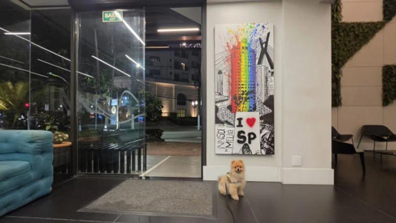 Levei minha cachorra para hotéis de luxo em São Paulo e descobri que o pet friendly está mudando de verdade