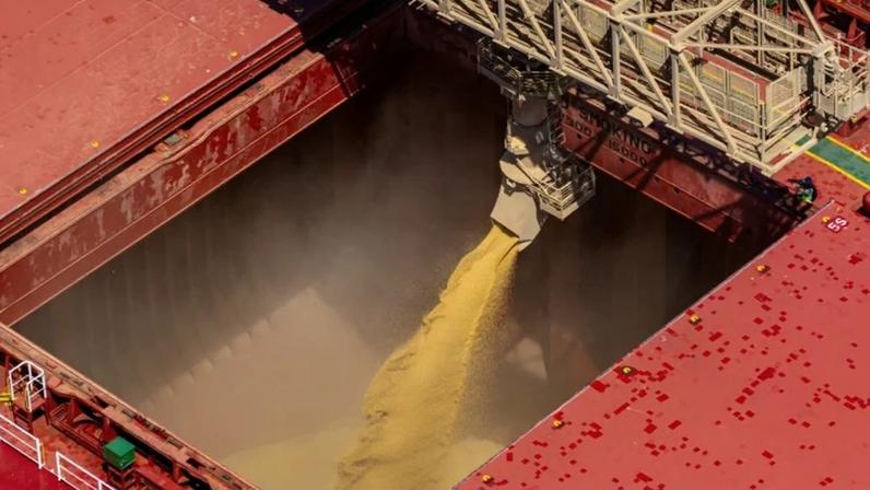 Anec projeta embarques de 16,7 milhões de toneladas de soja em abril