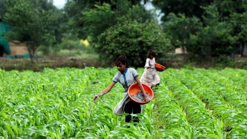 ONU propõe corredor humanitário no Estreito de Ormuz para garantir fluxo de fertilizantes e insumos essenciais