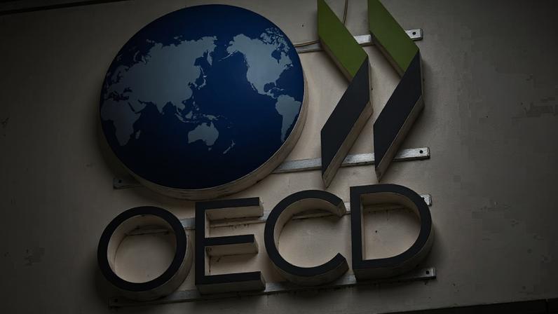 OCDE (Foto: Divulgação)