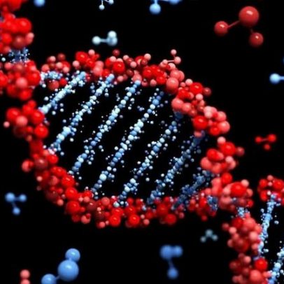 DNA e compostos bioativos: como ativam e silenciar genes na nutrição
