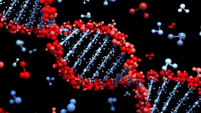 DNA e compostos bioativos: como ativam e silenciar genes na nutrição