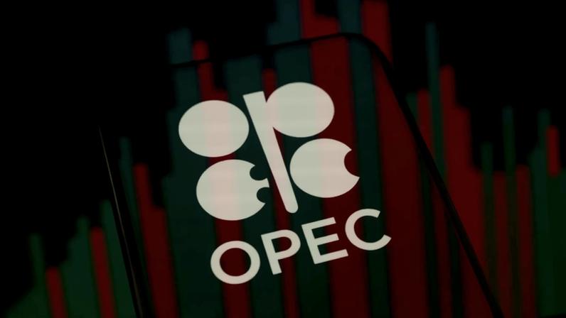 OPEC logo