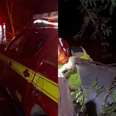 Carro sai da pista e deixa dois feridos na MG-308, perto de Juramento (MG)