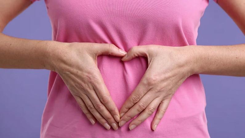 Bactérias do intestino podem influenciar a imunidade