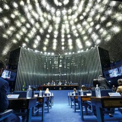 Senado aprova missão aos EUA para acompanhar situação de brasileiros, Ramagem