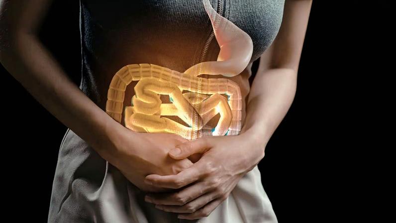 Intestino pode indicar câncer antes dos sintomas. (Foto: Alfred Evelina via Canva)