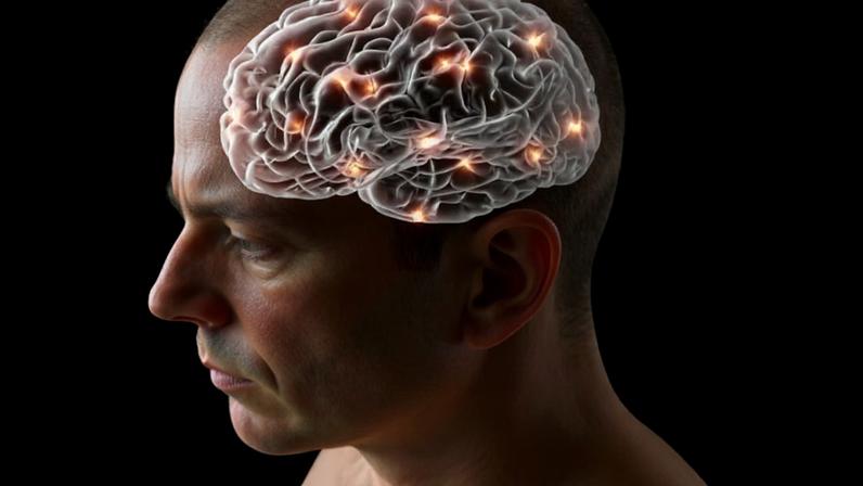 Como TikTok e Reels influenciam atenção, dopamina e aprendizado cerebral