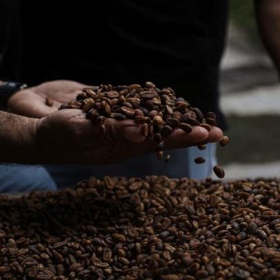 O café do Panamá tem um ingrediente secreto que vale a viagem