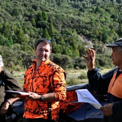 Conhecimento maori revela impactos climáticos na cadeia alimentar florestal