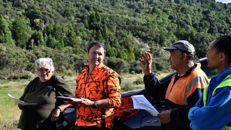 Conhecimento maori revela impactos climáticos na cadeia alimentar florestal