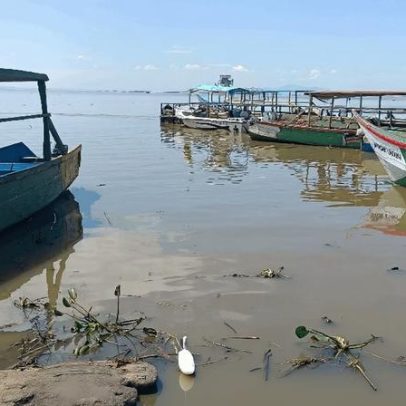 Jovens lideram campanha para revitalizar zona úmida no Lago Victoria