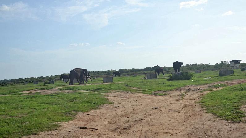 Plano da Indonésia de reclassificar parque nacional provoca críticas