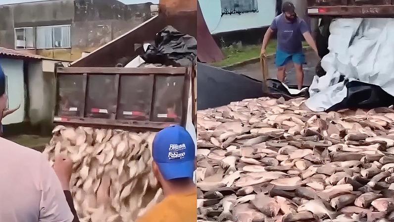 Prefeitura do Maranhão distribui peixes em caminhão durante Semana Santa
