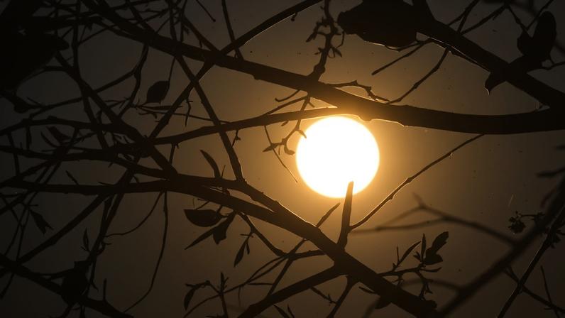 Foto colorida mostra vegetação seca com sol ao fundo - Metrópoles