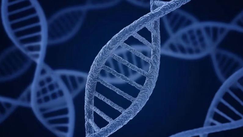 CRISPR em humanos avanços e promessas para tratar doenças genéticas