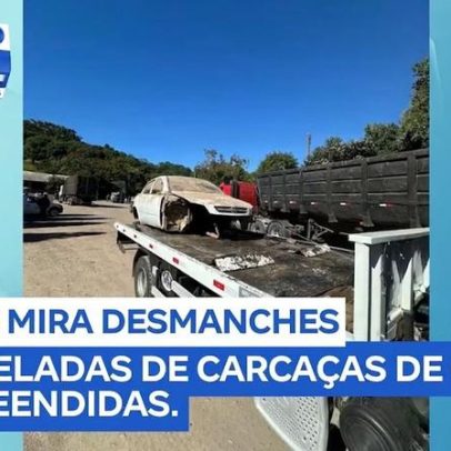 Apreensão de mais de 10 toneladas de carcaças em desmanche irregular na Serra