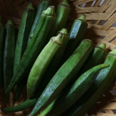 Vegetal acessível ajuda no tratamento da diabetes tipo 2