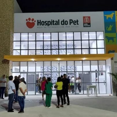 Mutirão oferece serviços de cuidados para animais no HV de João Pessoa