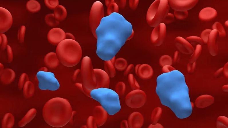 Betabloqueadores: usos, efeitos e precauções explicados