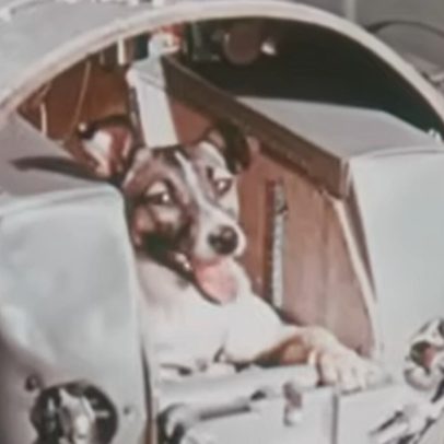 Laika: trajetória do primeiro ser vivo no espaço, de Sputnik a Artemis