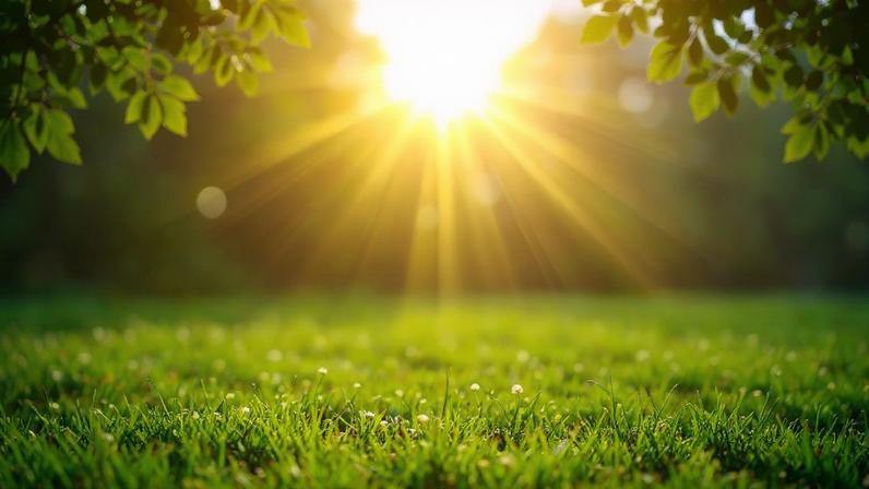Nova tecnologia pode transformar luz solar em combustível limpo (Imagem: TrueCreatives via Canva)
