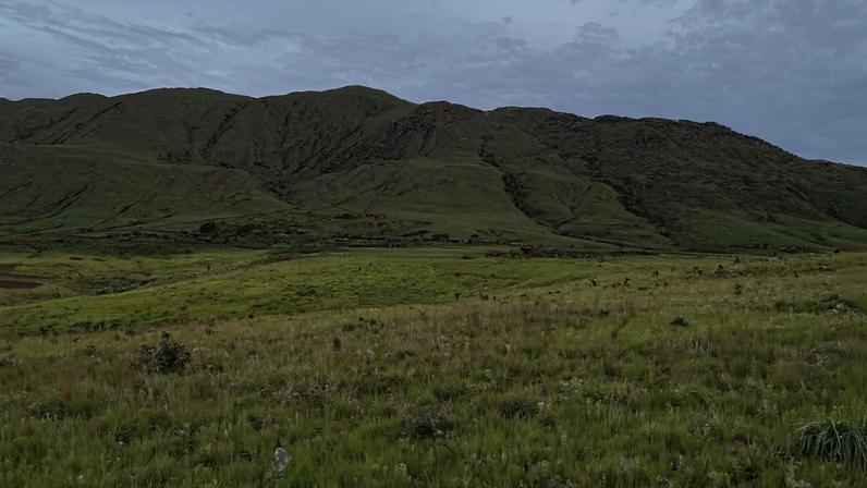 A montanha mais alta de Angola e sua fauna única passam a ser protegidas